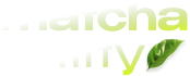MatchaFitty